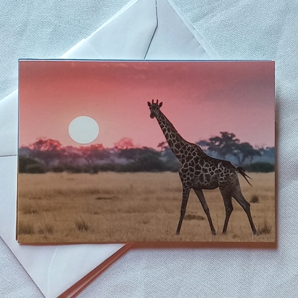 🅓🅞🅝🅐🅣🅔🅓! - Picture 5 of 7